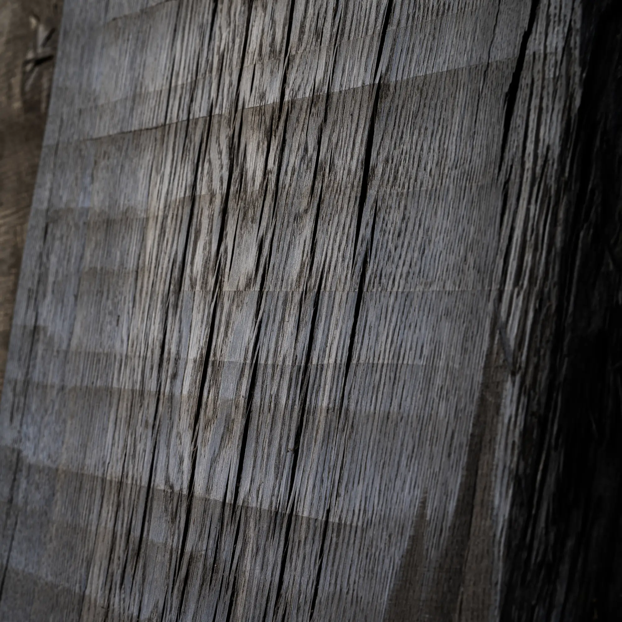 Nahaufnahme von unbehandeltem Mooreichenholz mit Bandsägeschnitt